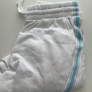 Aritzia Joggers NWOT